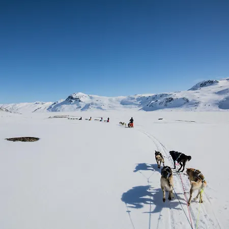 New 4bedroom With Sauna, Terrace & Fireplace Beitostolen