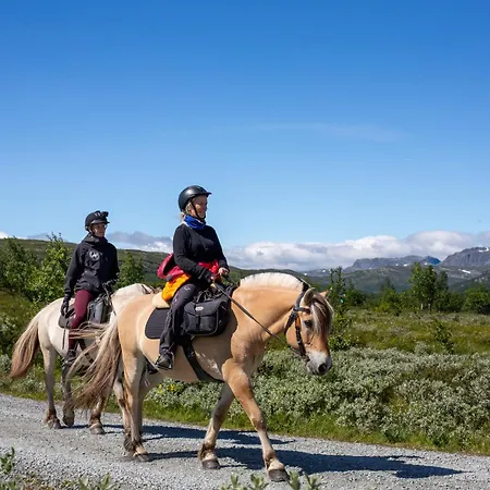 New 4bedroom With Sauna, Terrace & Fireplace